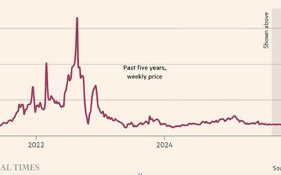 Market Volatility: Insights and Key Considerations